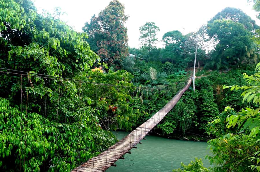 Medan: Mount Leuser National Park Full-Day Trip - FAQ