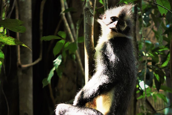 Monkey Business 2 days - 1 night Jungle Trekking (including rafting) - Rafting on the Same Trip: The Right Kind of Adrenaline