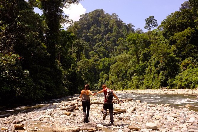 Monkey Business 3 days - 2 nights Jungle trekking (including rafting) - Day 3: River swim time, traditional breakfast, then one more push for animals