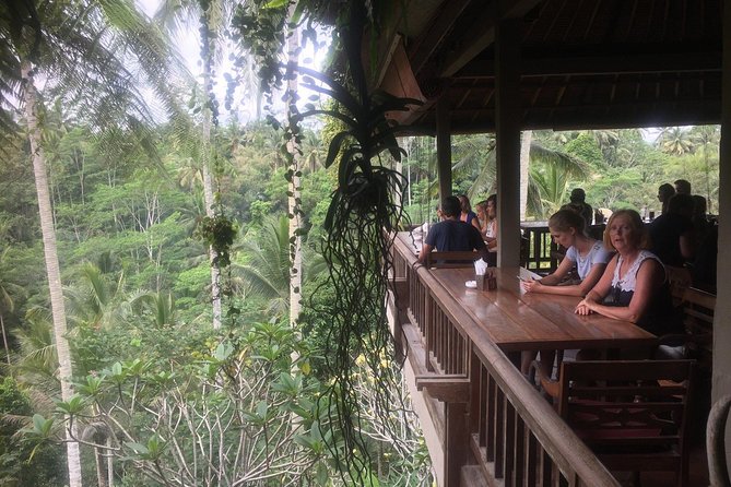 Monkey Forest, Ubud, Waterfall and Rice Terrace - Price and what you should budget for