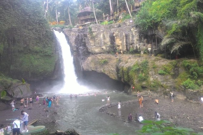 Monkey Forest, Ubud, Waterfall and Rice Terrace - Stop 2: Sacred Monkey Forest Sanctuary (with real time to see it)