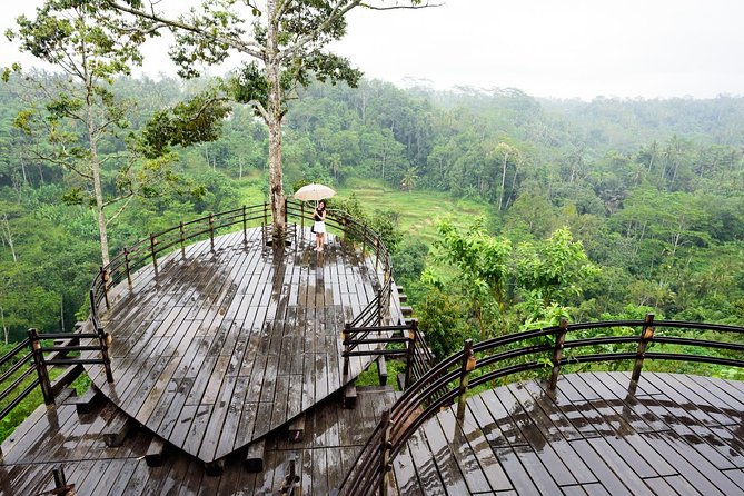 Monkey Forest, Ubud, Waterfall and Rice Terrace - Stops 4 and 5: Tegalalang Rice Terrace, including a timed lunch moment