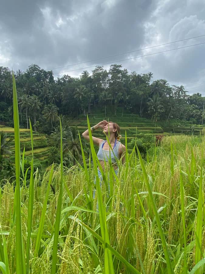 Monkey Forest, Waterfall ,Temple and Rice Terrace - Key highlights you will actually care about