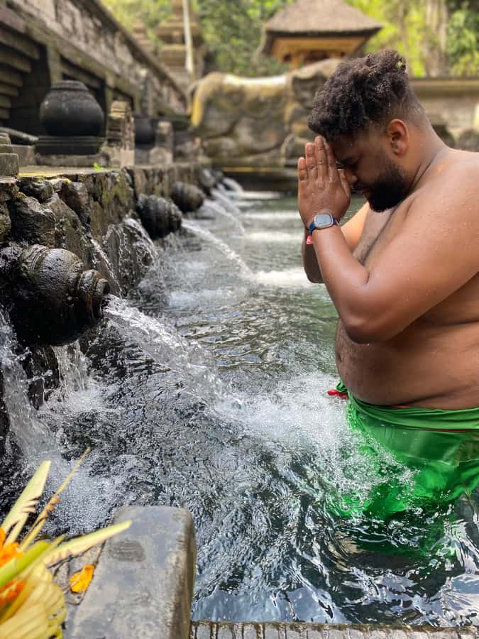 Monkey Forest, Waterfall ,Temple and Rice Terrace - Who this day trip suits best