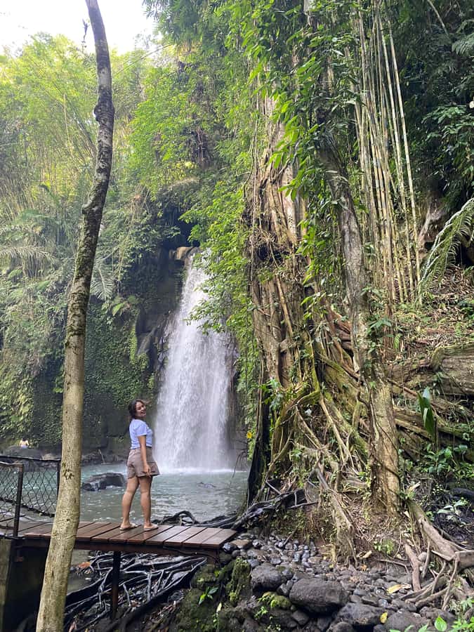 Monkey Forest, Waterfall ,Temple and Rice Terrace - Price and value: what $24 gets you, and what to budget for