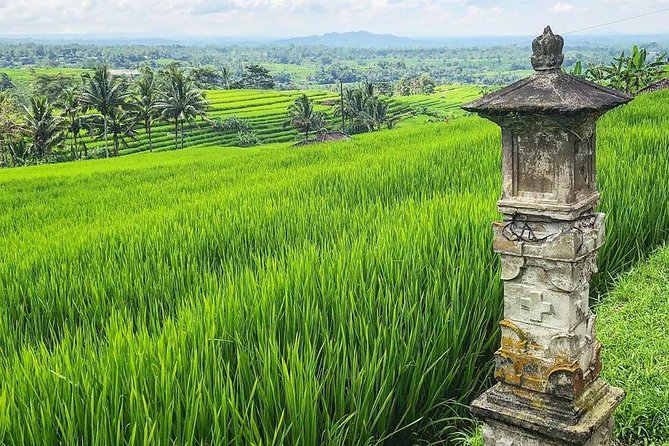 More Complete: Discover Bali In 3 Days Private Tour Package - Who should book this tour, and who might want a different plan