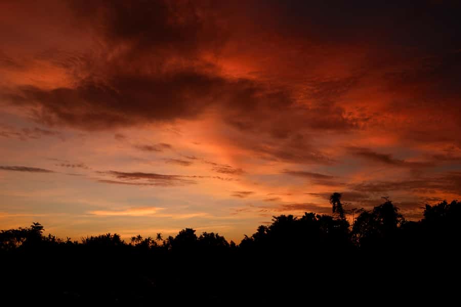 Mount Batur Sunrise Trek & Hot Springs Tour - Pickup Timing That Sets Your Whole Day (and Your Expectations)