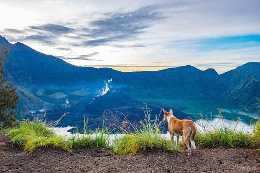 mount rinjani One day trek - Packing like you mean it: gear that will save your day