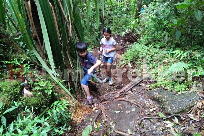 Mt Rinjani Trekking 2 Days 1 Night (Senaru Crater Rim) - Why this Senaru crater rim trek feels focused and efficient