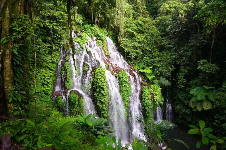 Munduk: Banyu Wana and Sekumpul Waterfall Trekking Tour - Key things I’d plan around