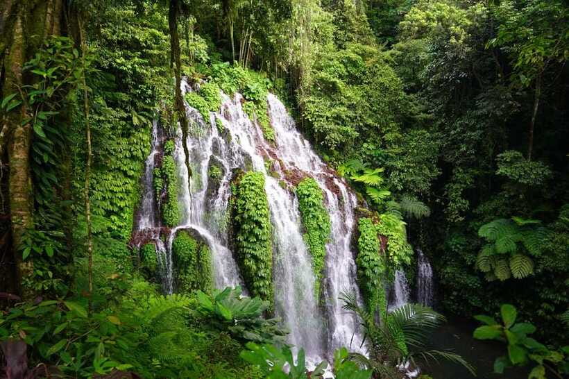 Munduk: Banyu Wana and Sekumpul Waterfall Trekking Tour - Banyu Wana Amerta Waterfall: jungle shade, mist, and the option to swim