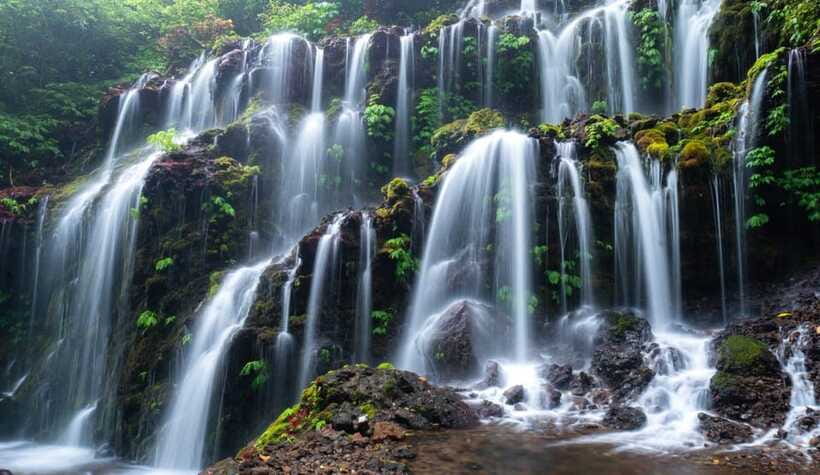 Munduk: Banyu Wana and Sekumpul Waterfall Trekking Tour - Transportation and timing: private van comfort, plus an early start advantage