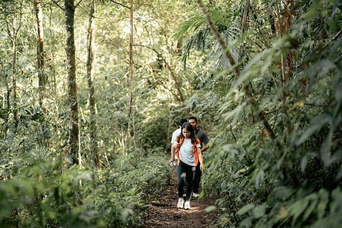 Munduk: Twin Lake Jungle Hike, Ulun Danu Temple, & Waterfall - Munduk Twin Lakes: why this day feels different in northern Bali