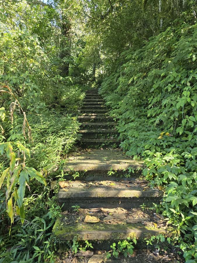 Munduk: Twin Lakes Jungle Hike with Lake Canoe and Waterfall - Price and value: is $44 a good deal for an 8-hour day