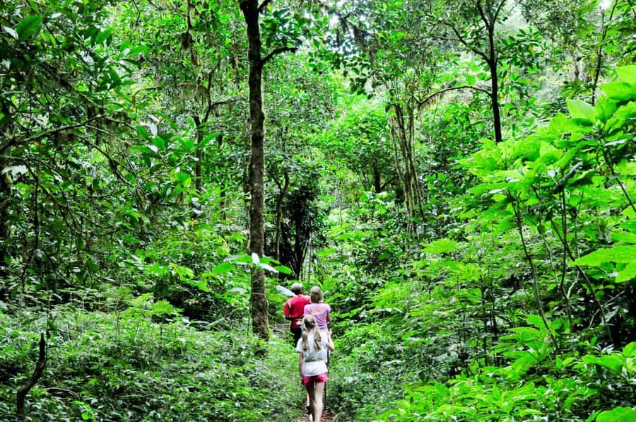 Munduk: Twin Lakes Jungle Hike with Lake Canoe and Waterfall - How this Munduk day works, and why it feels like North Bali