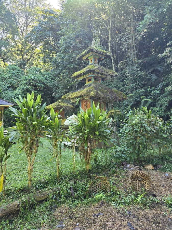 Munduk: Twin Lakes Jungle Hike with Lake Canoe and Waterfall - Banyumala Twin Waterfalls: swimming time and what to watch for