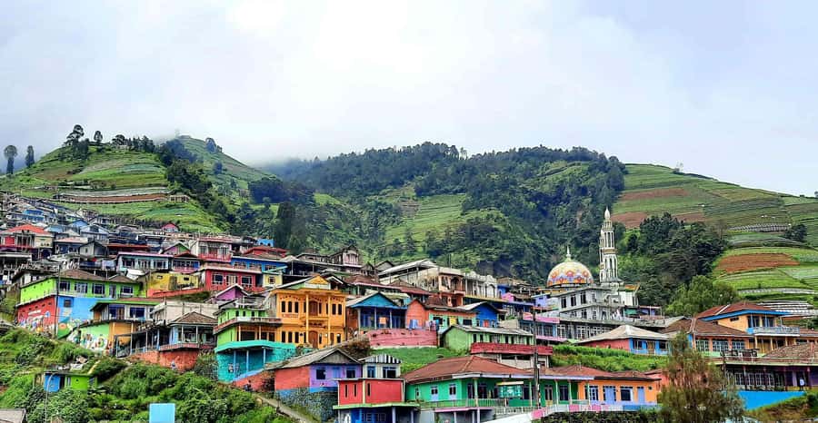 Nepal Van Java & Kedung Kayang Waterfall Tour :sunriseOption - What to Bring, What to Avoid, and Who Should Skip This One
