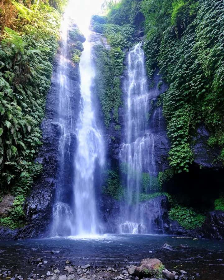 North Bali: Explore Munduk Waterfall Trekking Experience - Key things I’d plan around