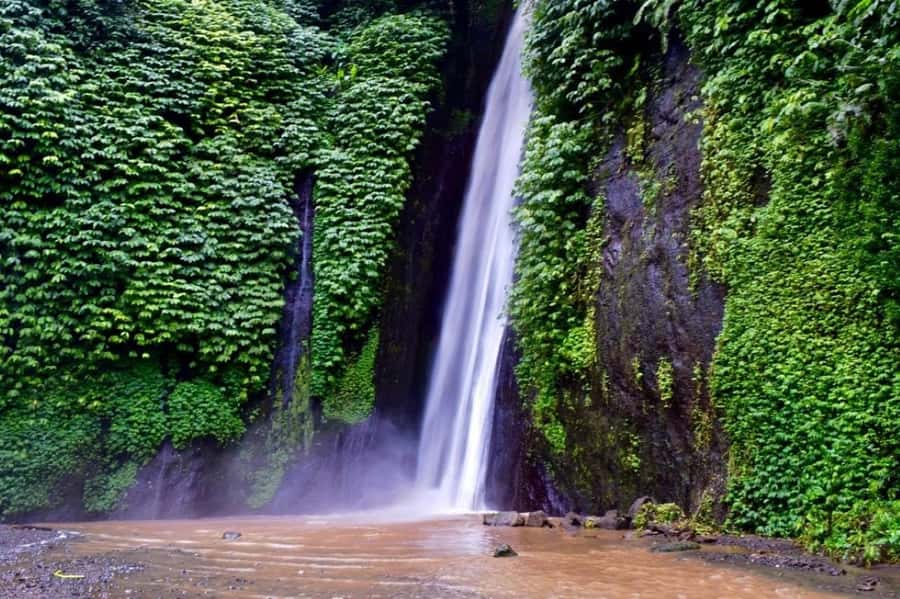 North Bali: Explore Munduk Waterfall Trekking Experience - Munduk Falls, Why This Trek Works Better Than a Single-Stop Tour
