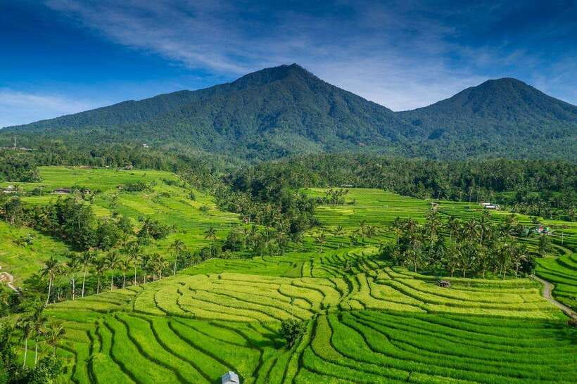 North Bali: Private Day Tour with Banyumala Waterfall - A North Bali day that strings together waterfall, temple views, and Jatiluwih