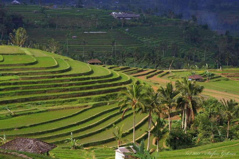 North Bali: Private Day Tour with Banyumala Waterfall - Stop 1: Banyumala Waterfalls, where the swim actually feels worth it