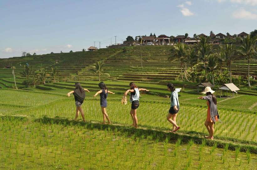 North Bali: Private Day Tour with Banyumala Waterfall - Stop 3: Lunch break, and why you should plan for it