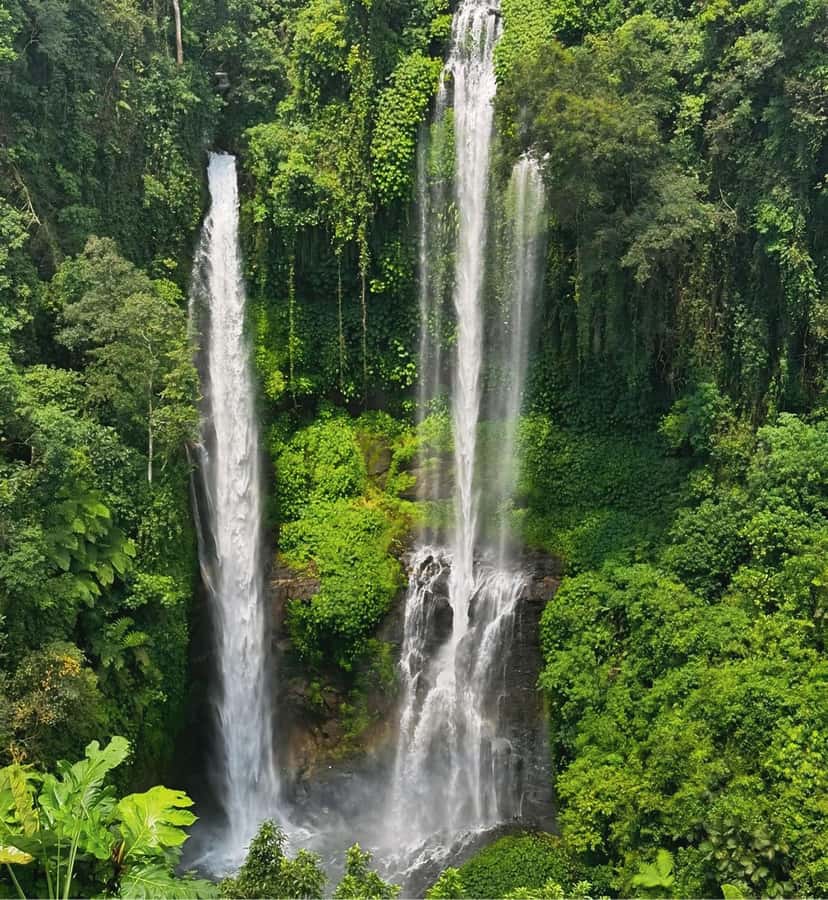 North Bali: Sekumpul and Banyumala Waterfalls & Rice Terrace - Sunrise pickup and the north-coast reality check