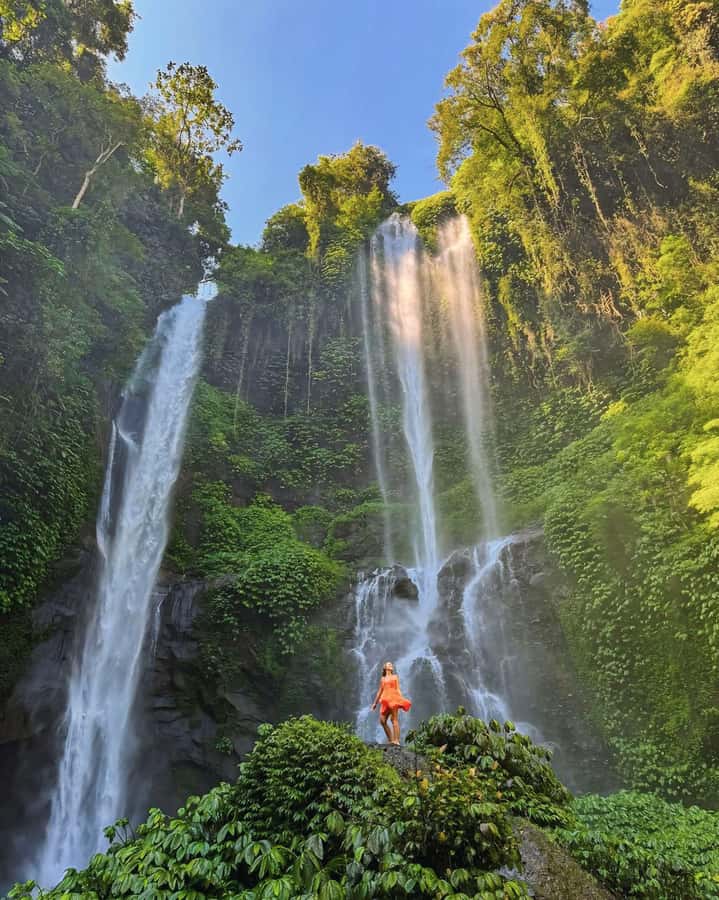 North Bali: Sekumpul and Banyumala Waterfalls & Rice Terrace - Guide quality, safety, and why the “private” part matters