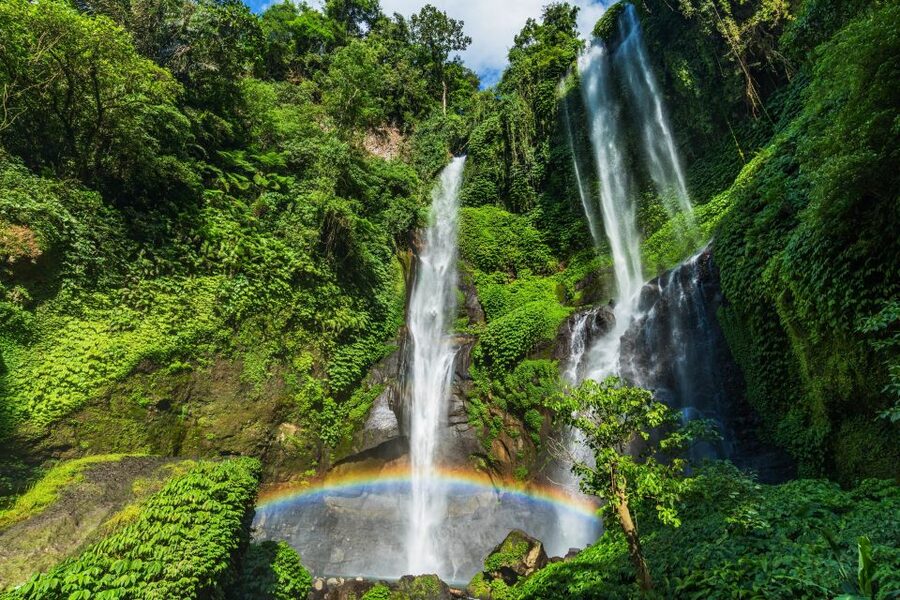 North Bali: Sekumpul Waterfalls and Ulun Danu Temple Tour - Your Guide and Driver: The Hidden Variable That Changes the Day