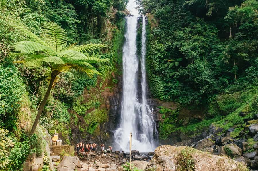 North Bali: Sunrise Tour with Dolphins, Waterfalls & Temples - Lovina Beach sunrise and dolphins, why this combo works