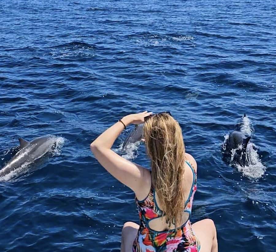 North Bali: Sunrise Tour with Dolphins, Waterfalls & Temples - The boat ride for wild dolphins, how to get the most out of it