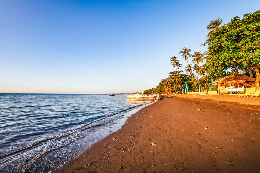 North Bali: Sunrise Tour with Dolphins, Waterfalls & Temples - What’s included in the $55 value, and when premium makes sense