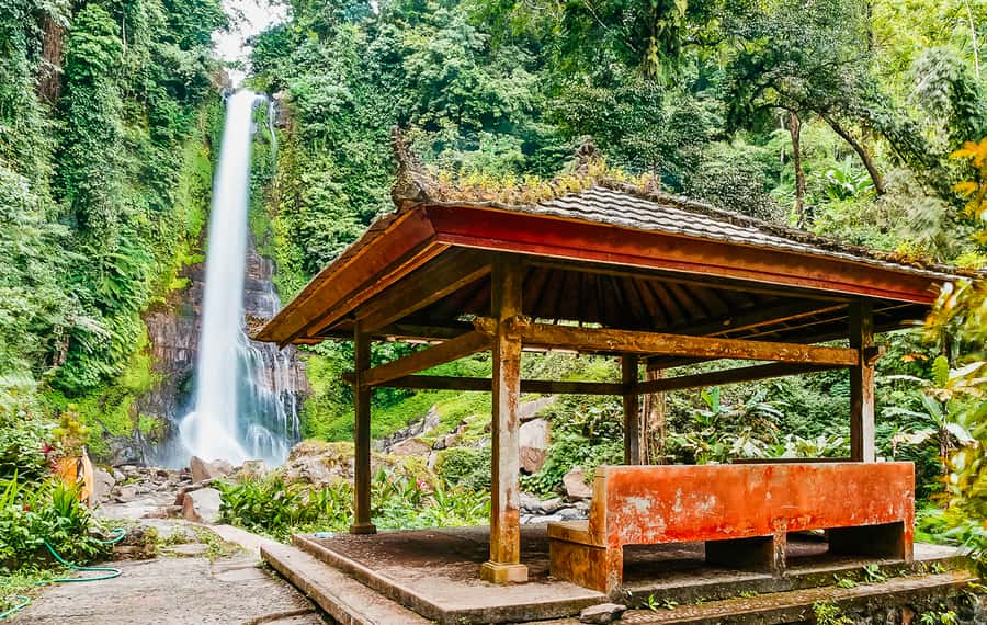 North Bali: Sunrise Tour with Dolphins, Waterfalls & Temples - What to bring so the day feels easy