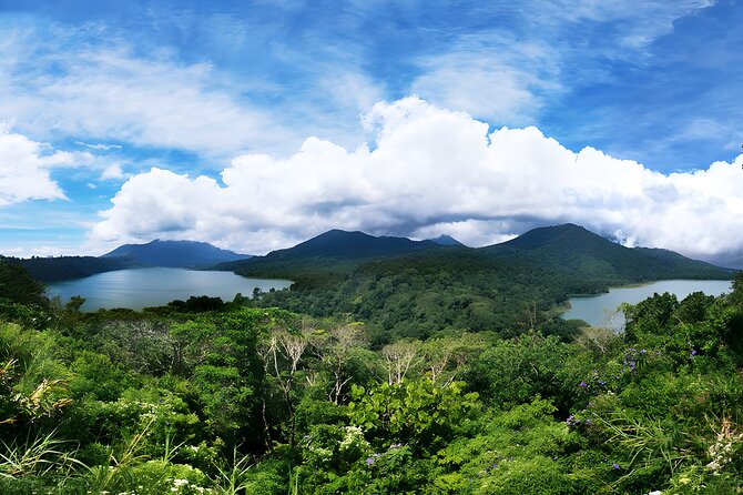 North Bali Tour - Visiting Rice Terrace, Lake, Waterfall, Temple and Hot Spring - A one-day North Bali plan that saves you from stress
