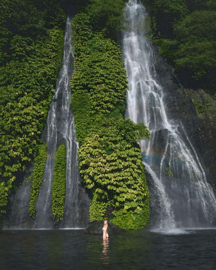 North Bali: Ulun Danu, Waterfalls, Swing and Monkey Forest - Price and value: what $35 per person really buys