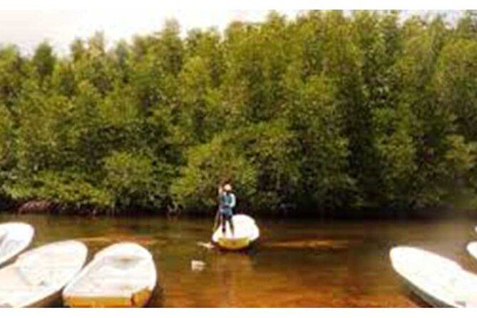 Nusa Lembongan Highlights Day Trip All-Inclusive - Mangrove Point Boat Ride: A Different Side of the Island