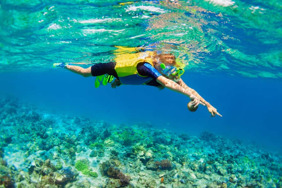Nusa Lembongan Island: Snorkeling & Mangrove Forest Day Tour - Lunch With an Ocean View: Fuel for a Long Day