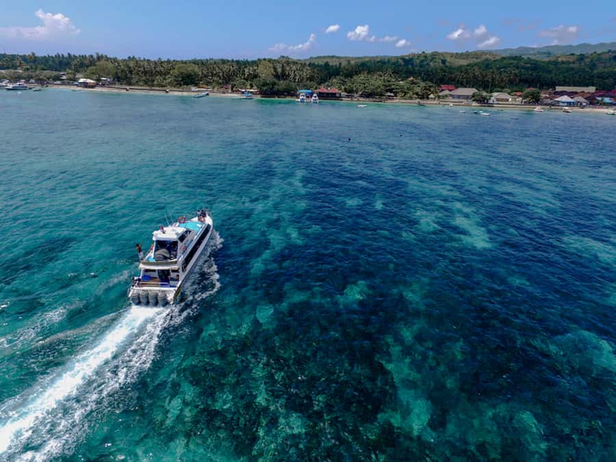 Nusa Lembongan Island: Snorkeling & Mangrove Forest Day Tour - Logistics You Should Know Before You Go