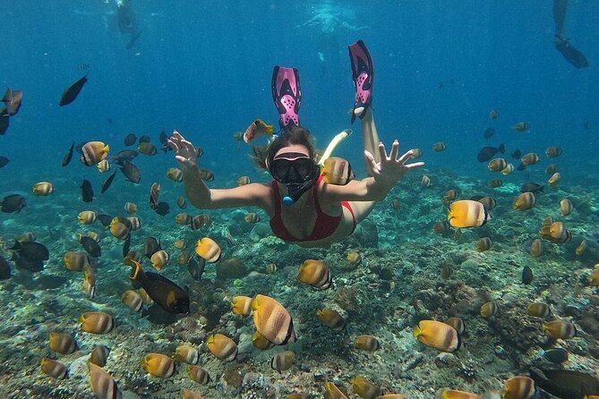 ️Nusa Penida by Private Boat - Snorkeling 4 spots, Swim with Mantas + Land Tour - Why this Nusa Penida day trip feels worth your money