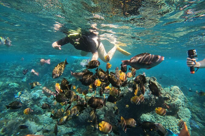 Nusa-Penida customize Tour - All inclusive - Kelingking Beach: your first big cliff payoff