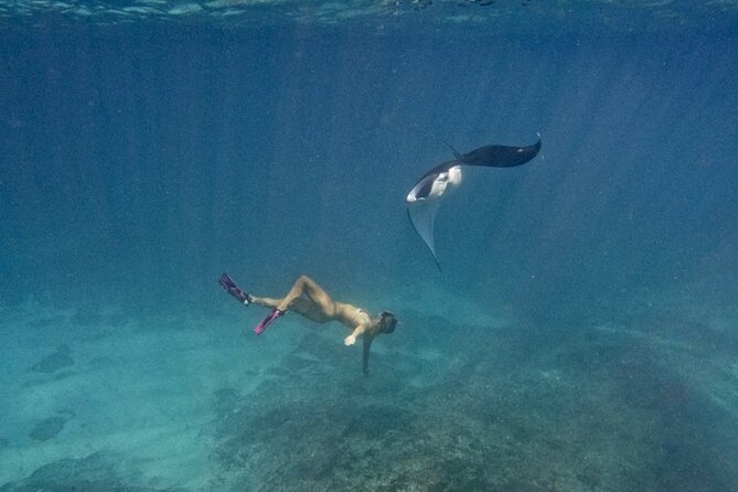 Nusa Penida day trip: boat, 4 snorkeling, Manta rays & Land tour - Getting Started in Sanur: Early Meeting, Fast Boat, Clear Expectations