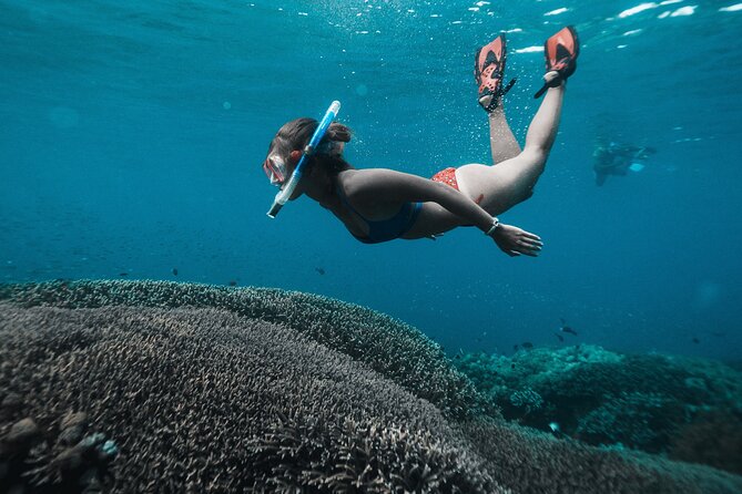 Nusa Penida day trip: boat, 4 snorkeling, Manta rays & Land tour - Kelingking Cliff by Private Car: Iconic View Time Without the Hassle