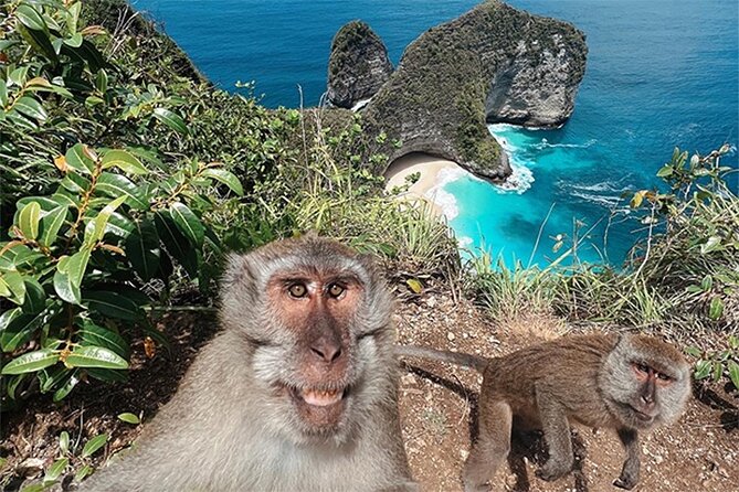 Nusa Penida day trip: boat, 4 snorkeling, Manta rays & Land tour - Guides, Safety, and the Little Things That Make or Break the Day