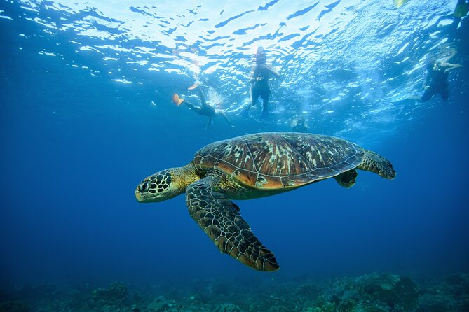 Nusa Penida day trip: boat, 4 snorkeling, Manta rays & Land tour - Price and Value: Why $78 Can Be a Good Deal if You Want the Whole Day