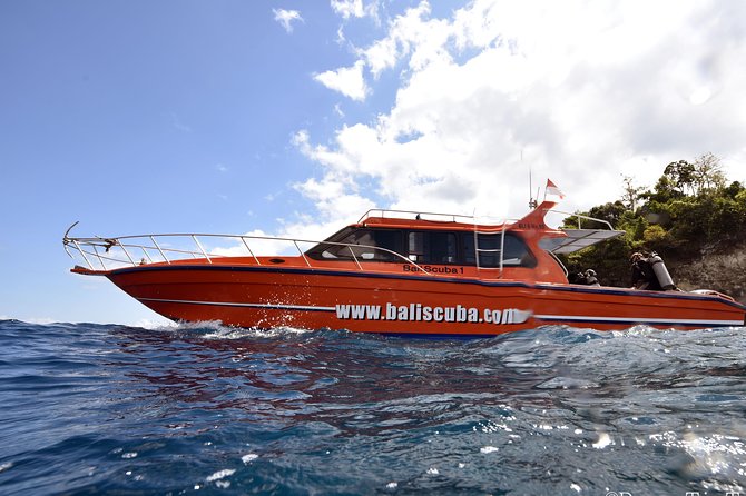 Nusa Penida Day Trip for 3 dives - Nusa Penida, currents, and the wildlife math behind a three tank day