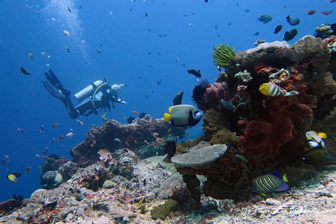Nusa Penida Day Trip for 3 dives - Safety and group size: max four per guide in current-driven water