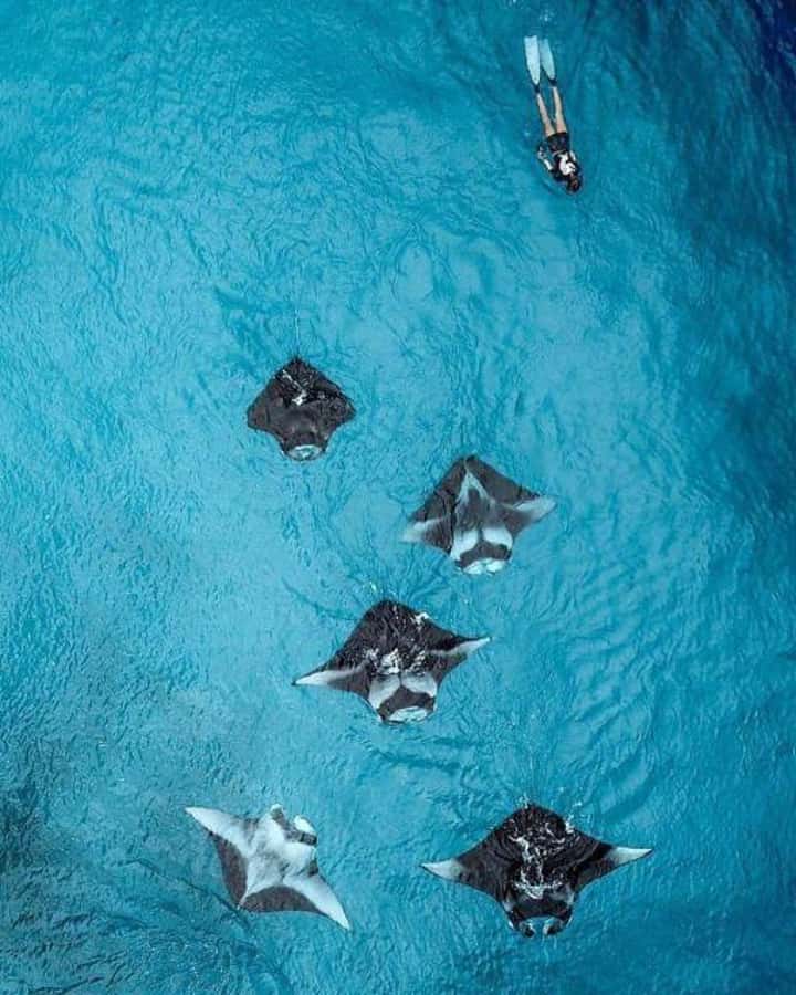 Nusa Penida: Full Day Private Snorkeling With Manta Ray - Maruti Beach Club start: getting ready fast, then getting in the water