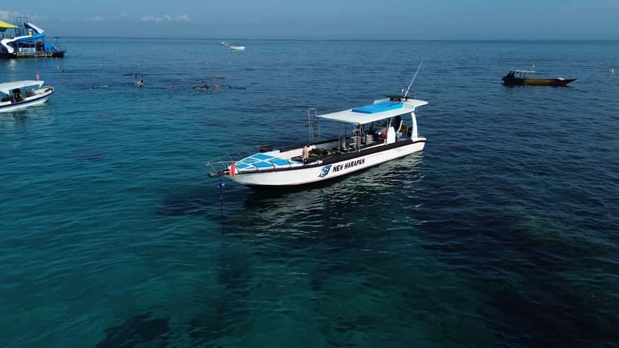 Nusa Penida: Full Day Private Snorkeling With Manta Ray - Gamat Bay and Toyapakeh Wall: two different reef styles for different moods