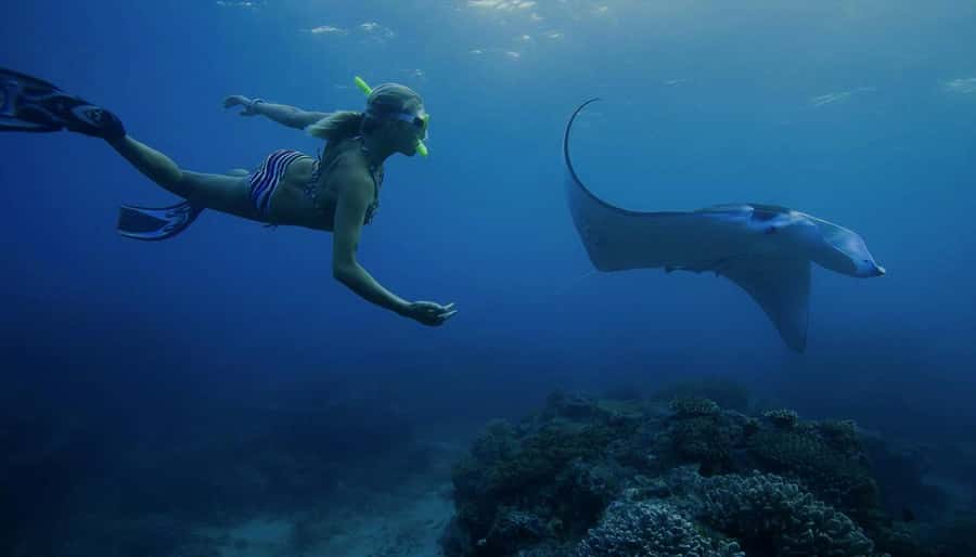 Nusa Penida: Full Day Private Snorkeling With Manta Ray - Price and value: what $64 gets you in the real world