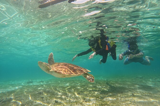 Nusa Penida & Gili Trawangan 3Days 2Night (Snorkeling) - FAQ